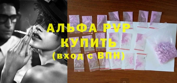 крисы Корсаков