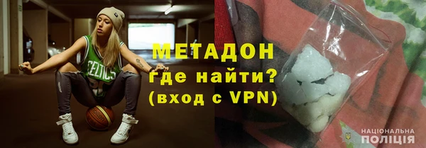 крисы Корсаков