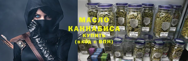 гидра Покачи