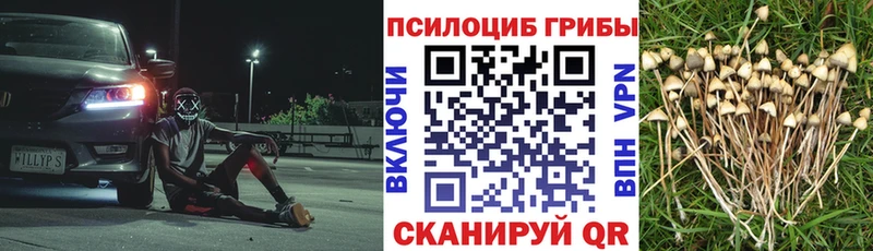 Галлюциногенные грибы MAGIC MUSHROOMS  Ковдор 